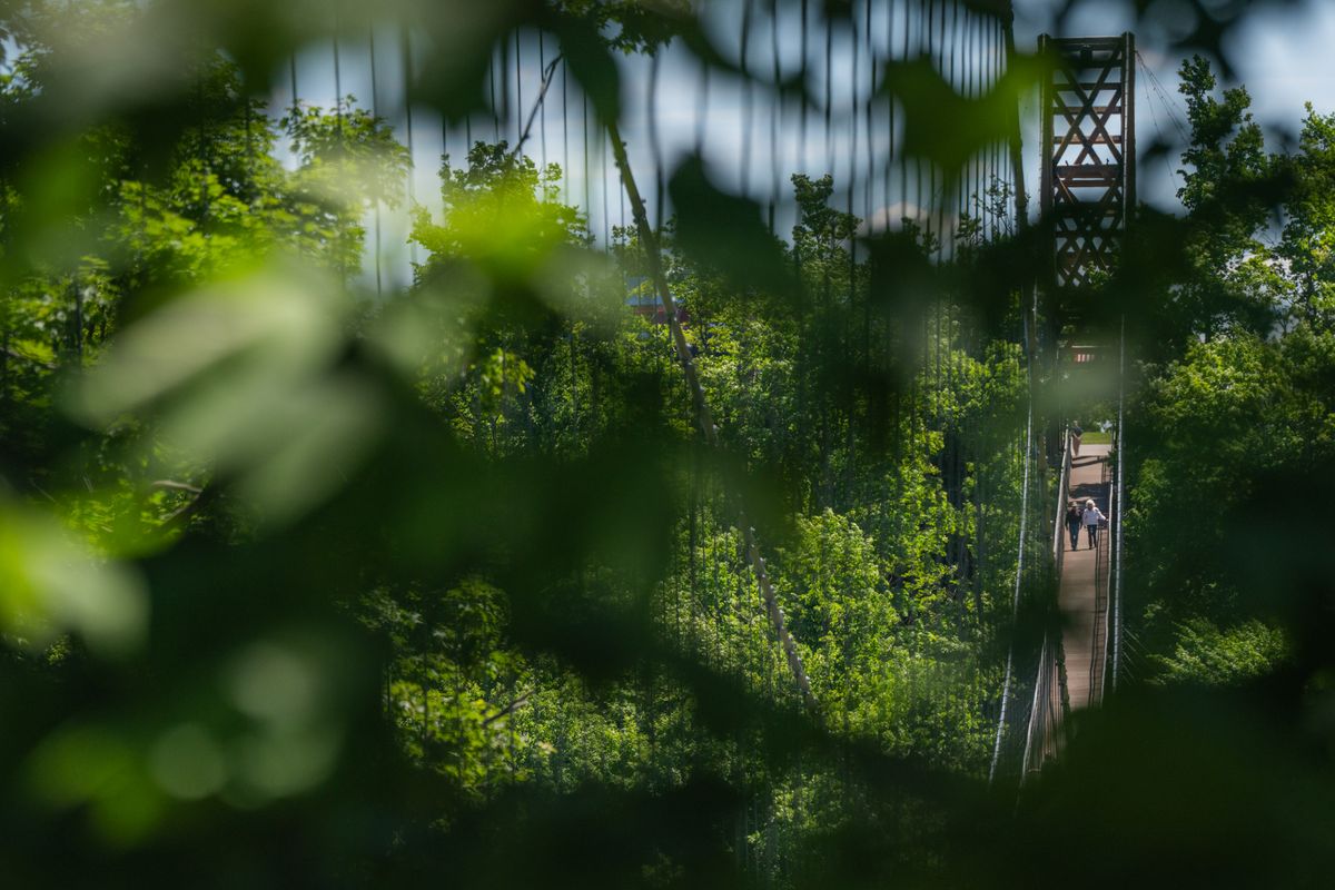 SkyBridge Michigan
